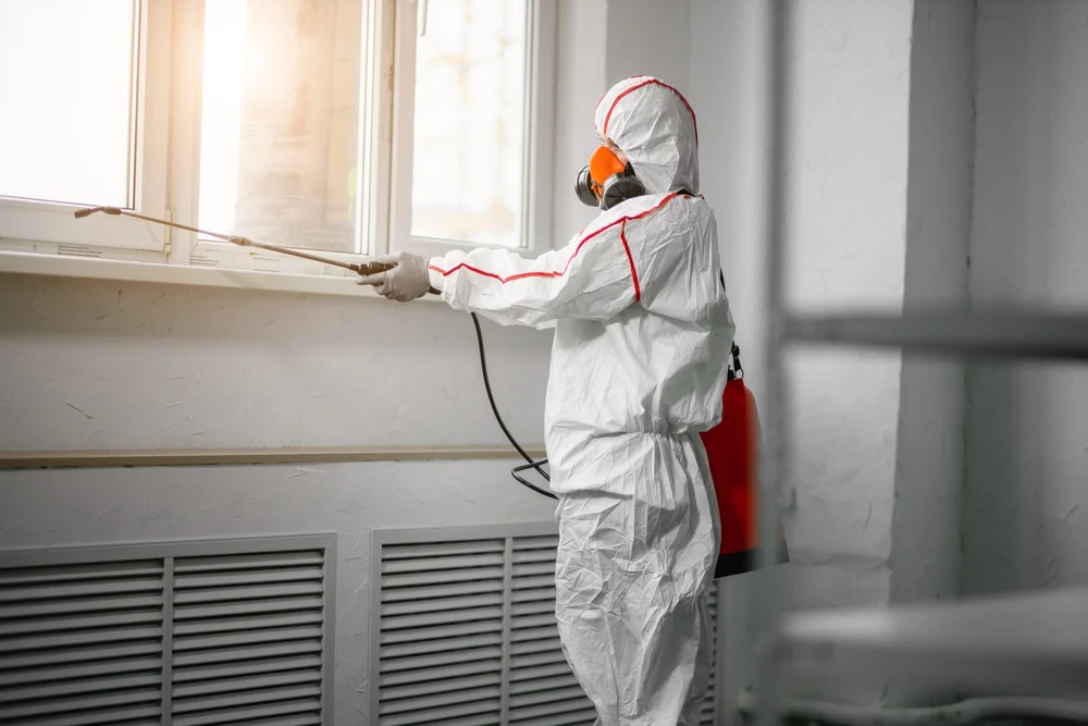 Professional mold remediation services in Fate, TX
